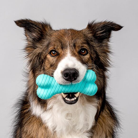 Playology Dual Layer Bone Dog Toy Peanut Butter Scent for Tough Chewers, Medium - Picture 9 of 9